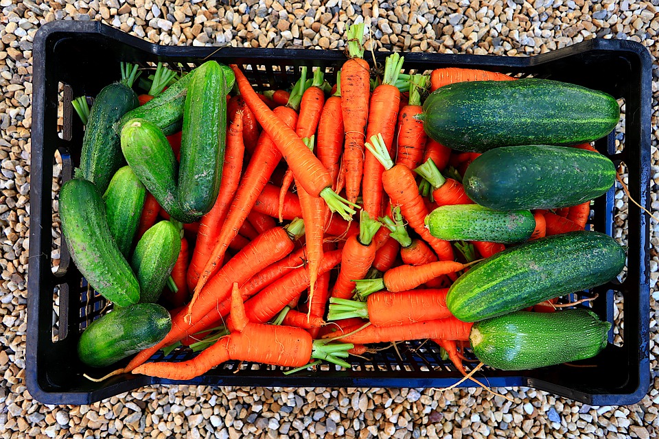 Zelenina v plastové bedně.